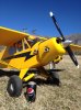 cub1.jpg