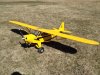 cub3.jpg