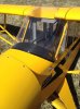 cub4.jpg