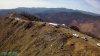 forestry-service-presentation-1.jpg