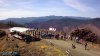 forestry-service-presentation-4.jpg
